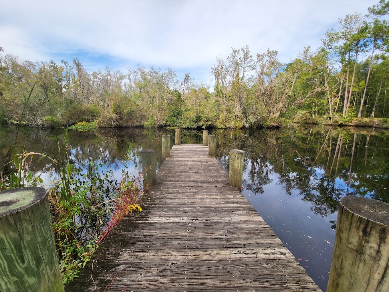 Outdoor Adventures of Jacksonville, Florida